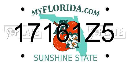 17161Z5 Florida License Plate