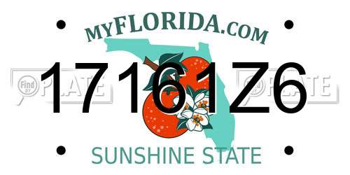 17161Z6 Florida License Plate