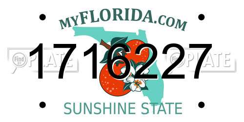 1716227 Florida License Plate