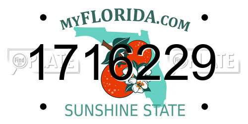 1716229 Florida License Plate