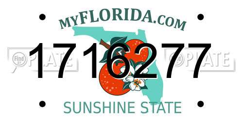 1716277 Florida License Plate