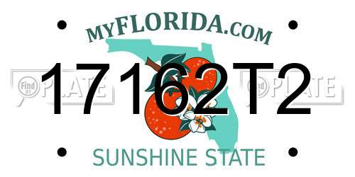 17162T2 Florida License Plate