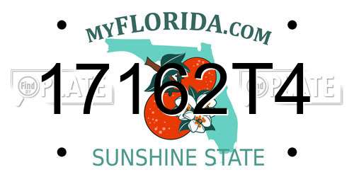 17162T4 Florida License Plate