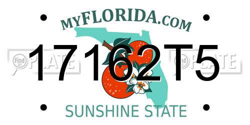 17162T5 Florida License Plate