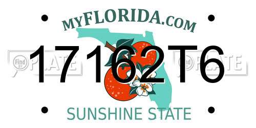 17162T6 Florida License Plate