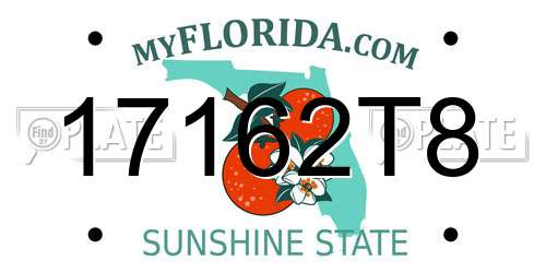 17162T8 Florida License Plate
