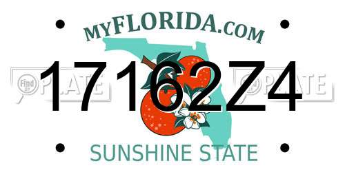 17162Z4 Florida License Plate