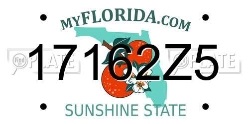 17162Z5 Florida License Plate