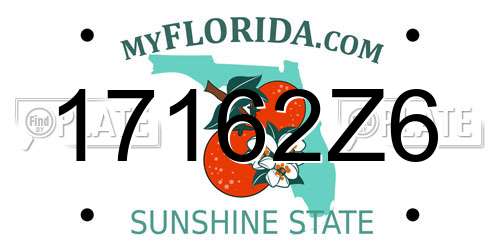 17162Z6 Florida License Plate