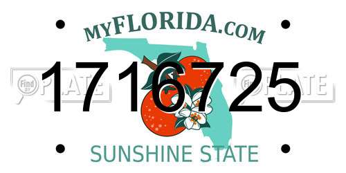 1716725 Florida License Plate