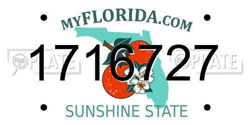 1716727 Florida License Plate
