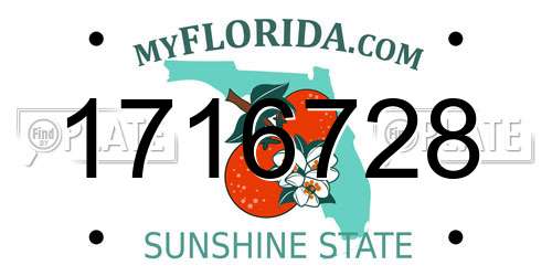 1716728 Florida License Plate