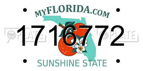 1716772 Florida License Plate