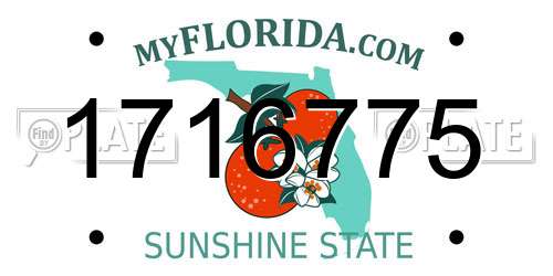 1716775 Florida License Plate