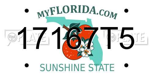 17167T5 Florida License Plate