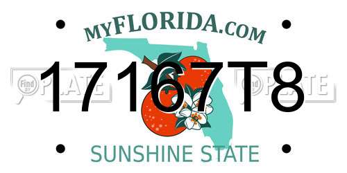 17167T8 Florida License Plate