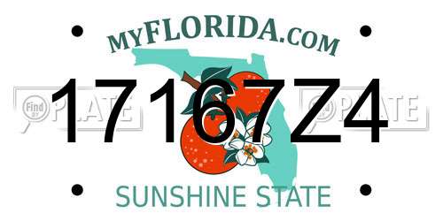 17167Z4 Florida License Plate