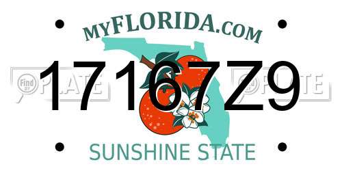 17167Z9 Florida License Plate