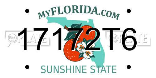 17172T6 Florida License Plate