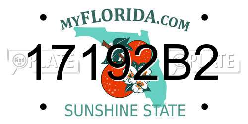 17192B2 Florida License Plate