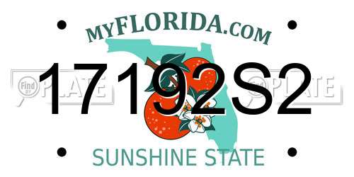 17192S2 Florida License Plate