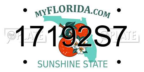 17192S7 Florida License Plate