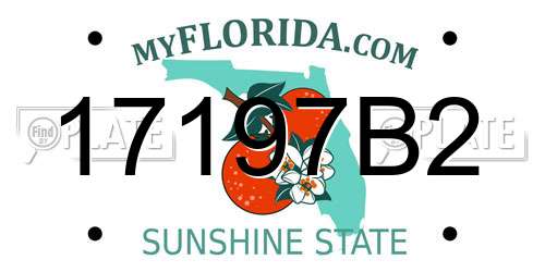 17197B2 Florida License Plate
