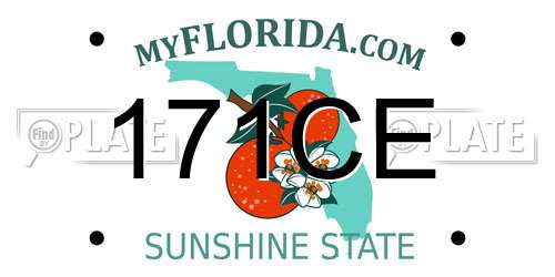171CE Florida License Plate