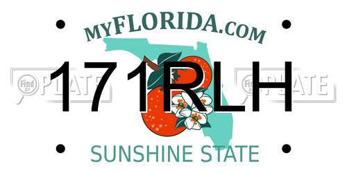 171RLH Florida License Plate