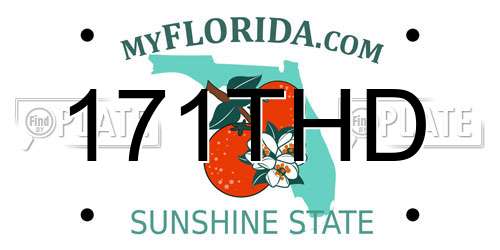 171THD Florida License Plate