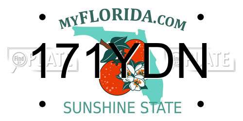 171YDN Florida License Plate