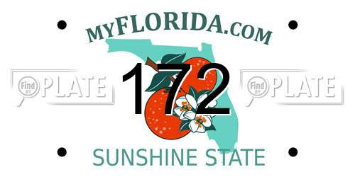 172 Florida License Plate