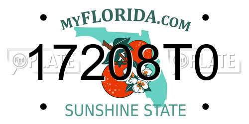 17208T0 Florida License Plate