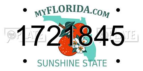 1721845 Florida License Plate