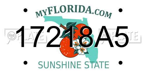 17218A5 Florida License Plate