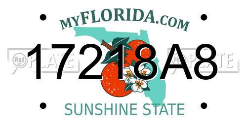 17218A8 Florida License Plate