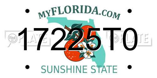 17225T0 Florida License Plate