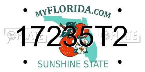 17235T2 Florida License Plate