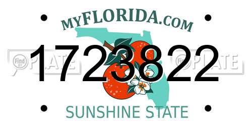 1723822 Florida License Plate