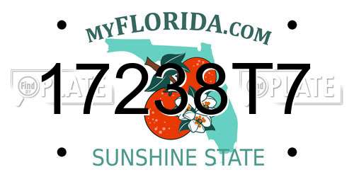 17238T7 Florida License Plate