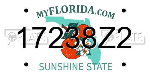 17238Z2 Florida License Plate