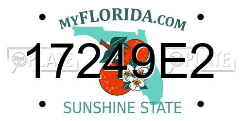 17249E2 Florida License Plate