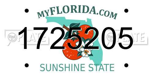1725205 Florida License Plate
