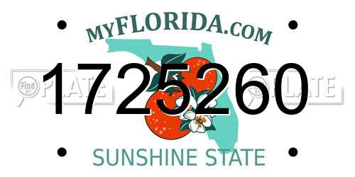 1725260 Florida License Plate