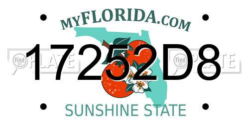 17252D8 Florida License Plate