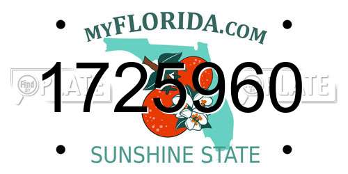 1725960 Florida License Plate