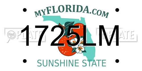 1725LM Florida License Plate