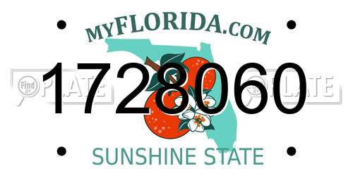 1728060 Florida License Plate
