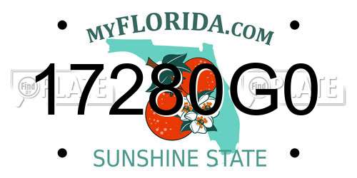 17280G0 Florida License Plate