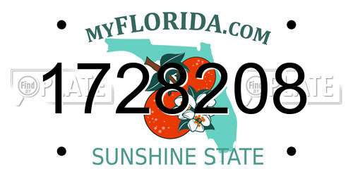 1728208 Florida License Plate